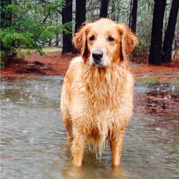 Meet your Posher, JC - Picture 1 of 1